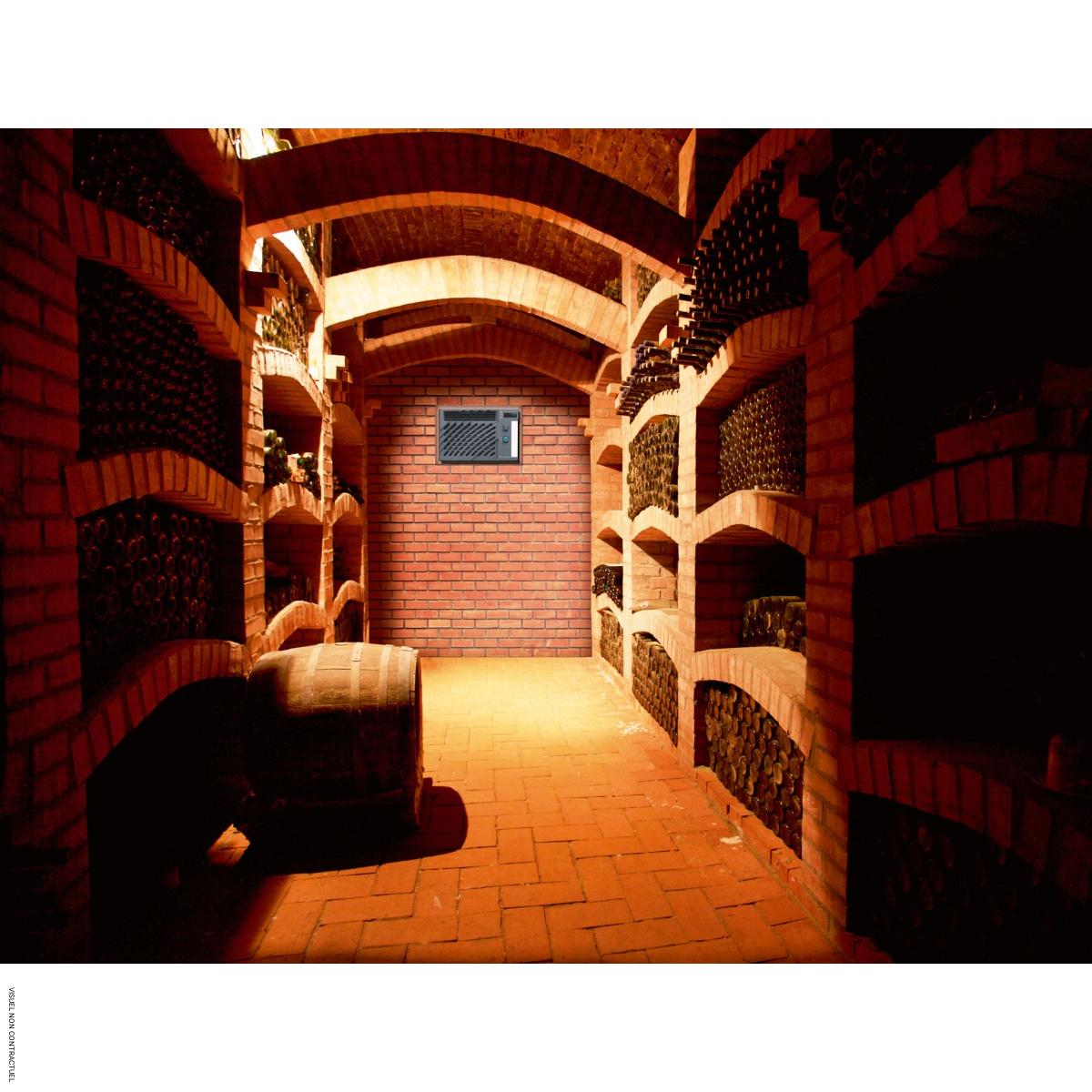 Climatiseur encastré réversible pour cave à vin Wine C50 SRX - WINEMASTER